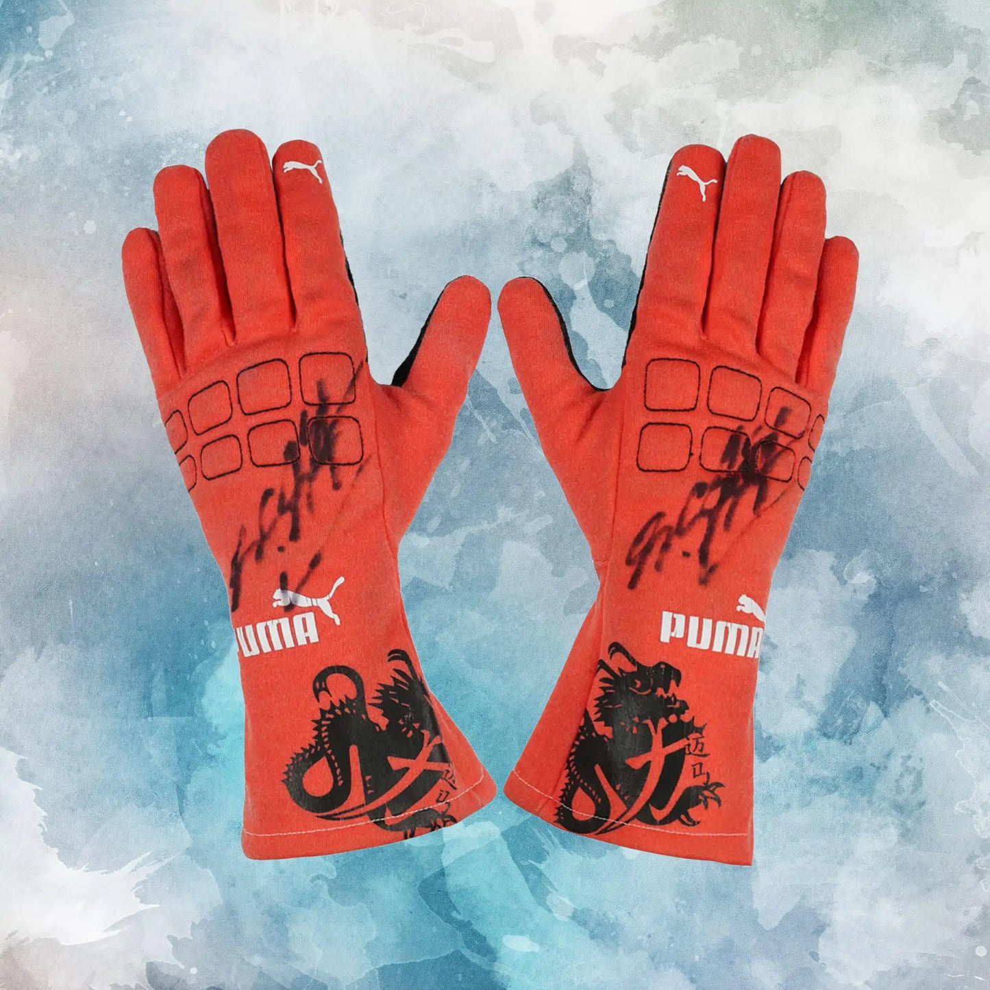 2012 Michael Schumacher Race Mercedes F1 Gloves / Michael Schumacher Replica Race Gloves